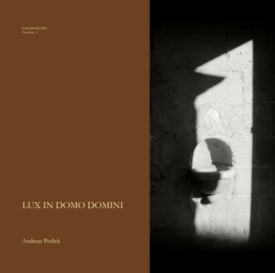 LUX IN DOMO DOMINI book cover