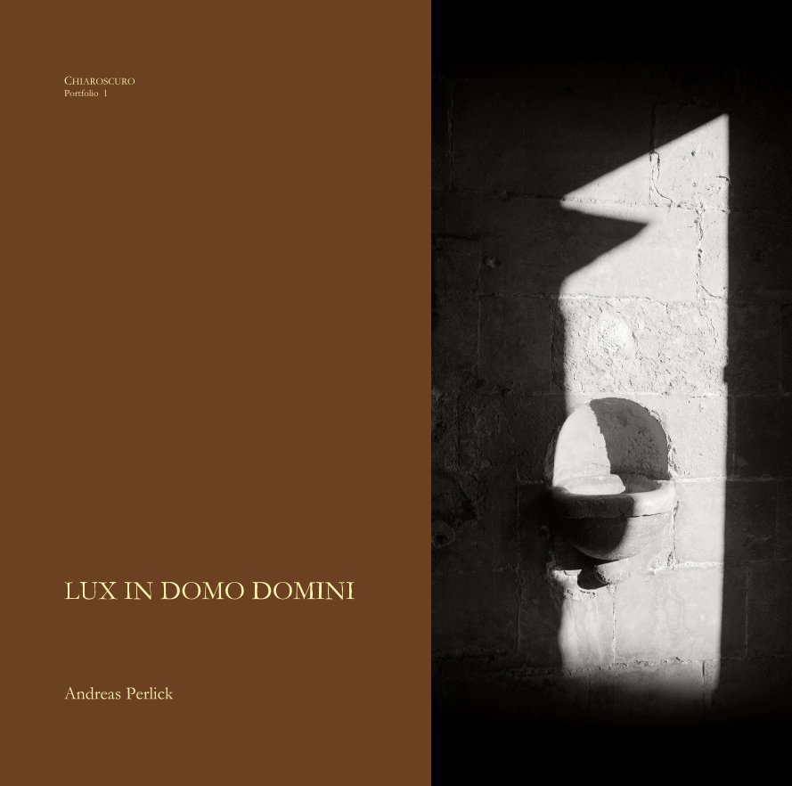 View LUX IN DOMO DOMINI by Andreas Perlick