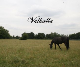 Valhalla book cover