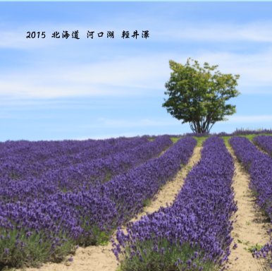 2015 北海道 河口湖 輕井澤 book cover