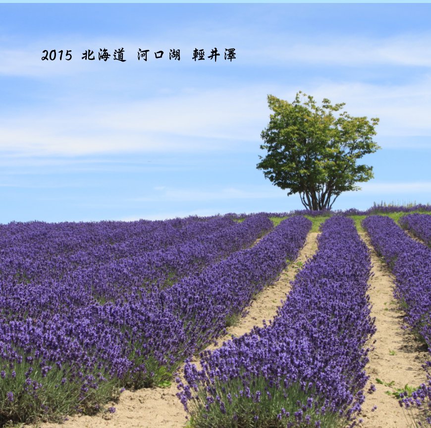 View 2015 北海道 河口湖 輕井澤 by stevenke