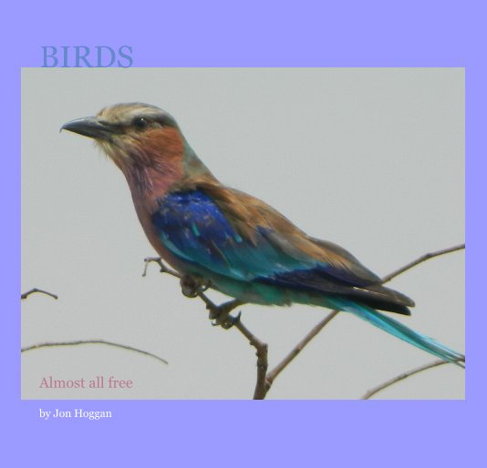 Ver Birds por Jon Hoggan