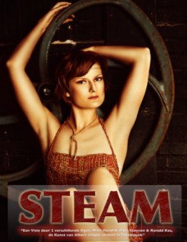Steam book cover