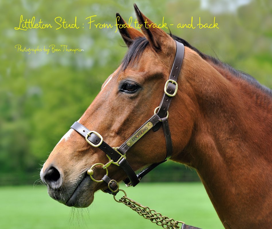 View Littleton Stud : From foal to track - and back by Photographs by Ben Thompson