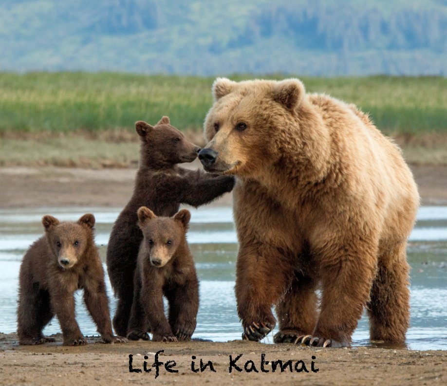 View Life in Katmai by Ferre' Dollar