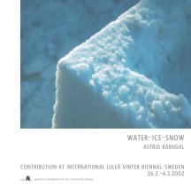 Luleå Vinter Biennial 2002 book cover