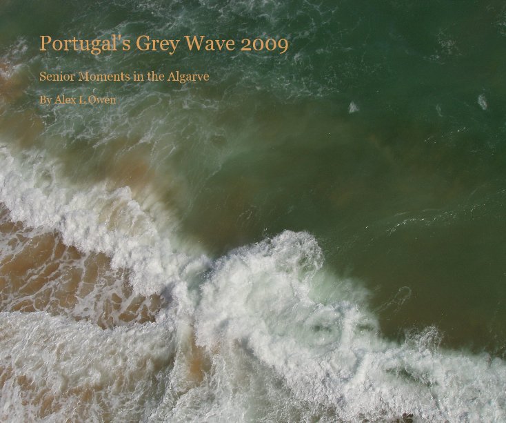 View Portugal's Grey Wave 2009 by Alex L Owen