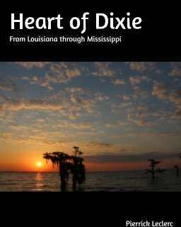 Heart of Dixie book cover