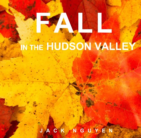 View Fall in the Hudson Valley by Jack Nguyen
