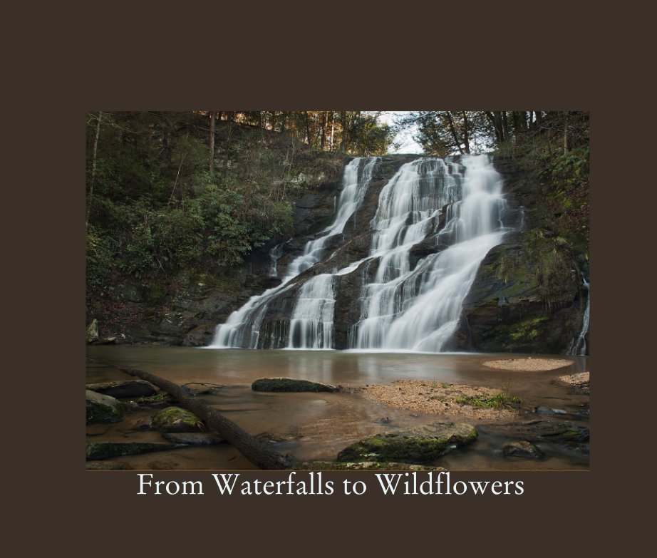 View From Waterfalls to Wildflowers by Stephan Banakas