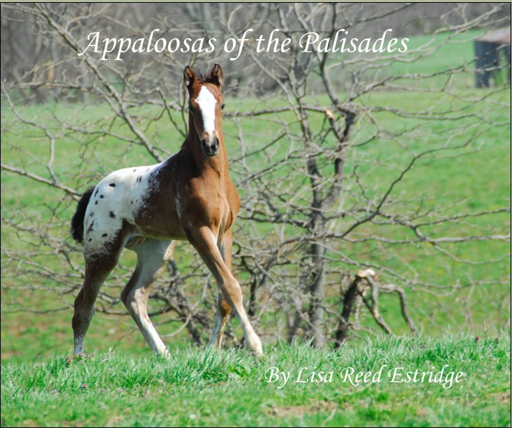 Ver Appaloosas of the Palisades por lisa estridge