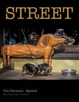 Street book cover