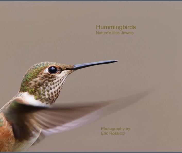 Hummingbirds Nature S Jewels By Eric Rossicci Blurb