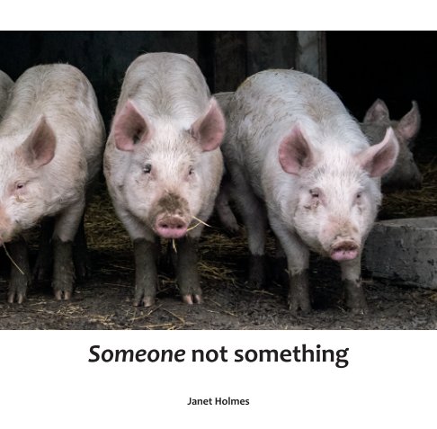 View Someone not Something by Janet Holmes