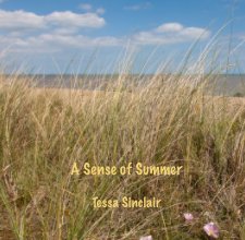 A Sense of Summer book cover