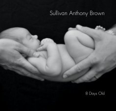 Sullivan Anthony Brown book cover