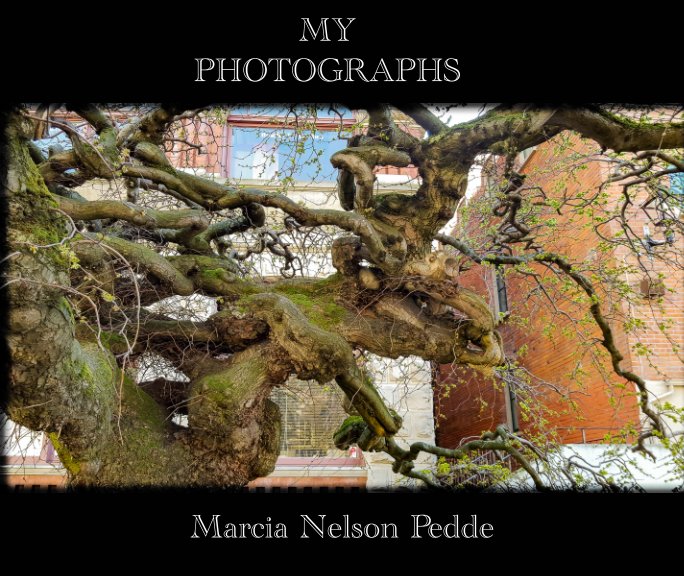 View My Photographs by Marcia Nelson Pedde