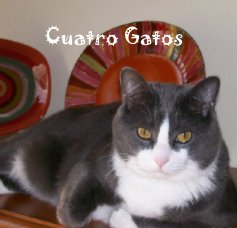 Cuatro Gatos book cover