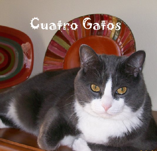 View Cuatro Gatos by cindyrhodes