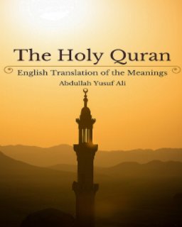 The Holy Quran: English Translation of the Meanings book cover