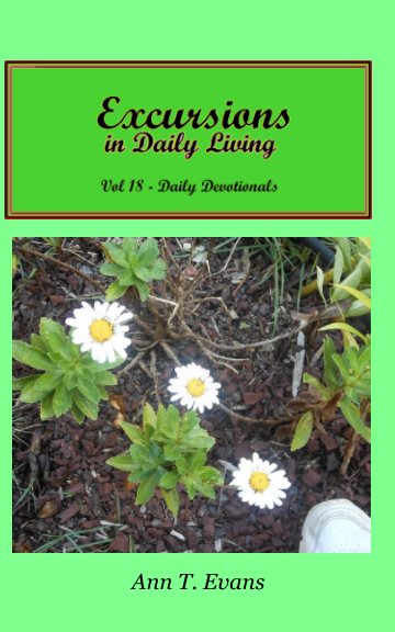 View Excursions in Daily Living Vol 18 by Ann T. Evans