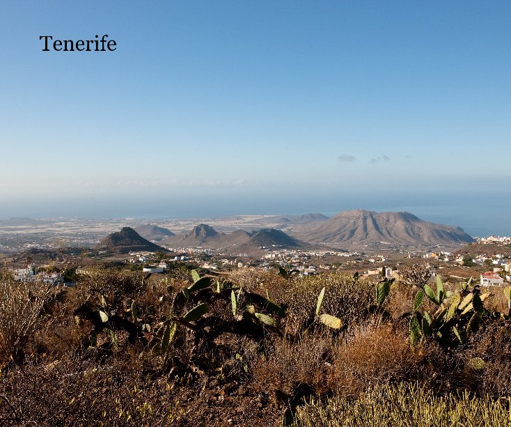 View Tenerife by Dawn Rogers