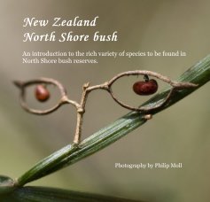 New Zealand North Shore bush book cover