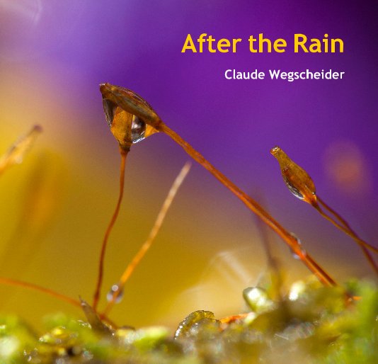 View After the Rain by Claude Wegscheider