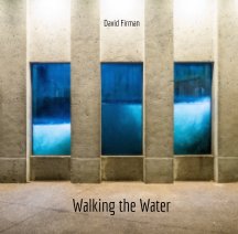 Walking the Water book cover