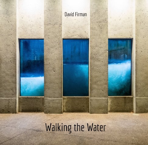 View Walking the Water by David Firman