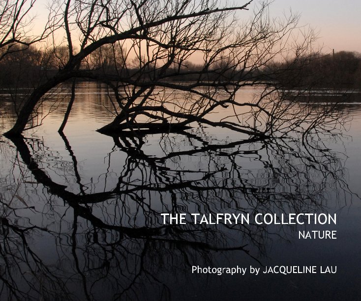 THE TALFRYN COLLECTION: NATURE nach Jacqueline Lau anzeigen