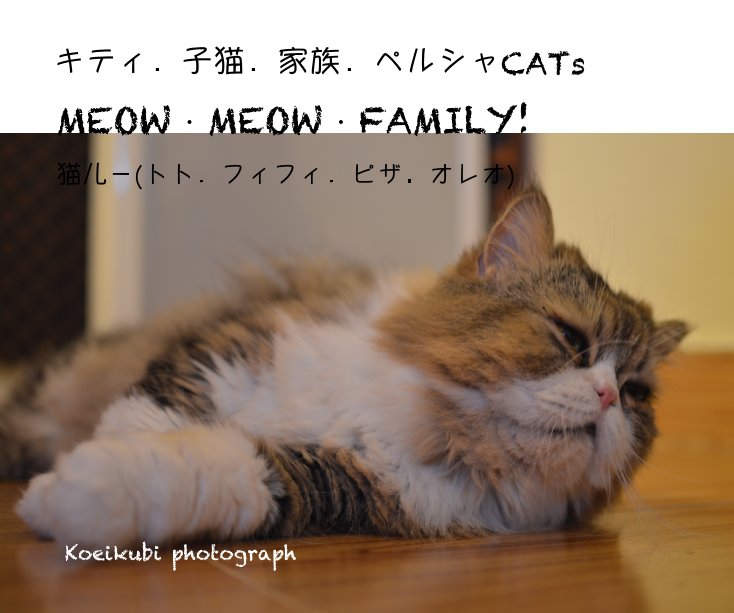 View キティ．子猫．家族．ペルシャCATs by Koeikubi photograph