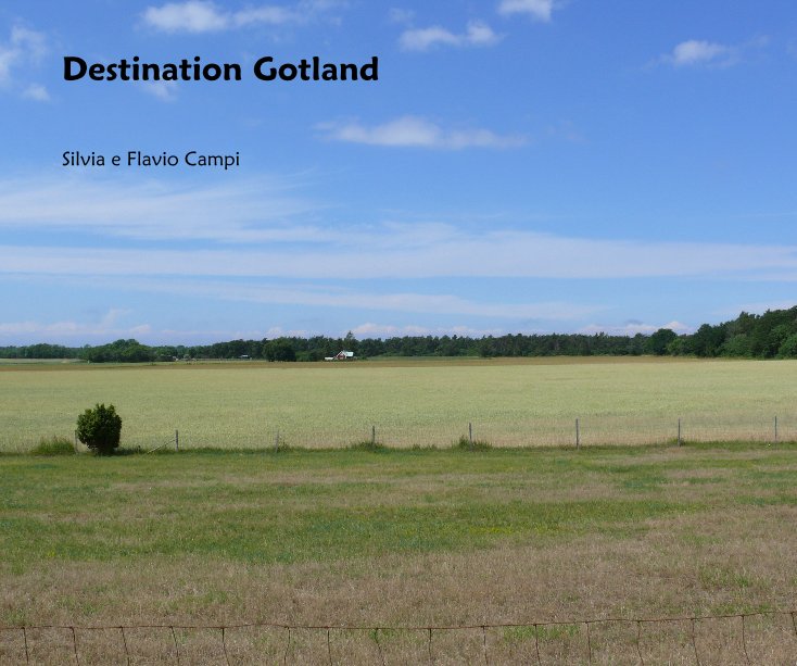 View Destination Gotland by Silvia e Flavio Campi