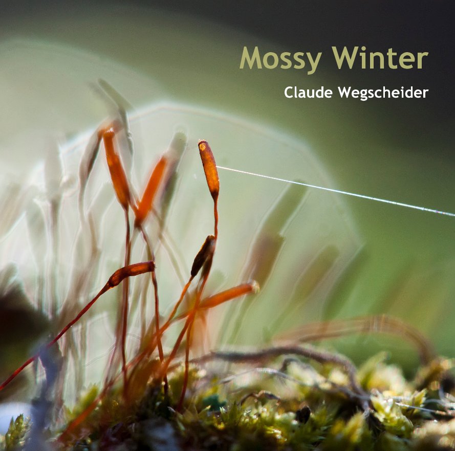 View Mossy Winter by Claude Wegscheider
