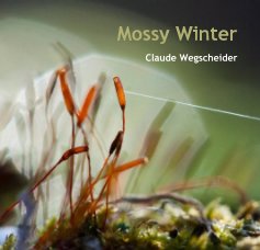 Mossy Winter book cover