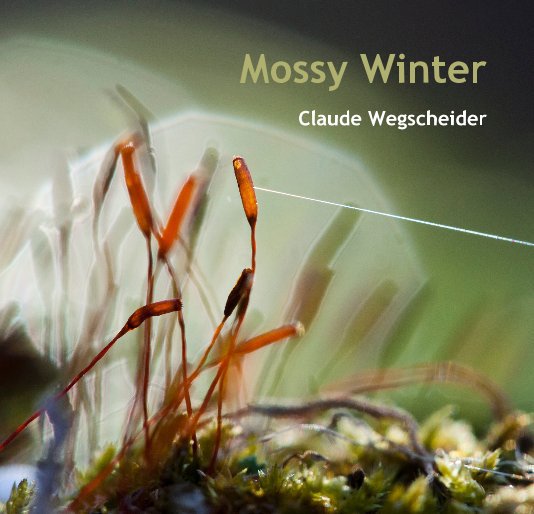 Ver Mossy Winter por Claude Wegscheider