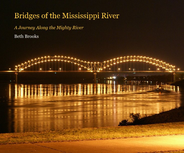 View Bridges of the Mississippi River by Beth Brooks