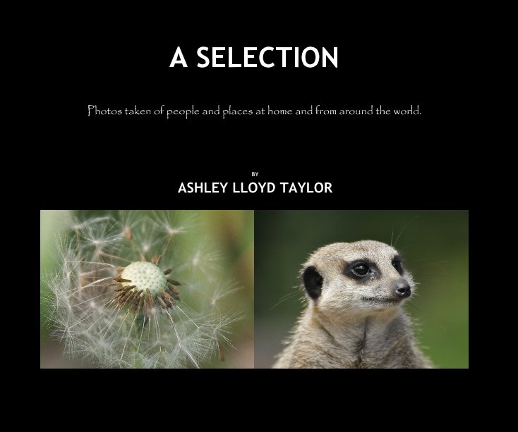 View A SELECTION by ASHLEY LLOYD TAYLOR
