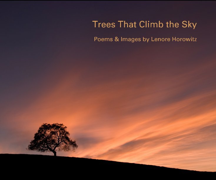 Visualizza Trees That Climb the Sky di Lenore Horowitz