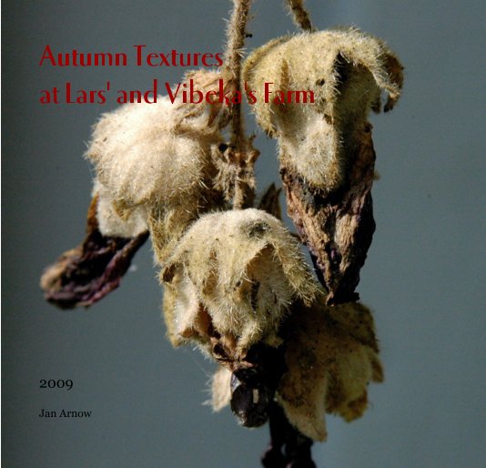 View Autumn Textures at Lars' and Vibeka's Farm by Jan Arnow