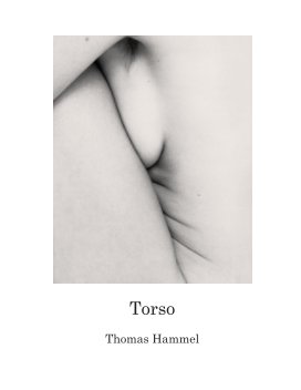 Torso book cover