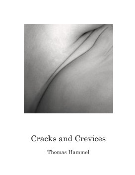 Cracks and Crevices book cover