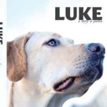 Luke: a story in photos book cover