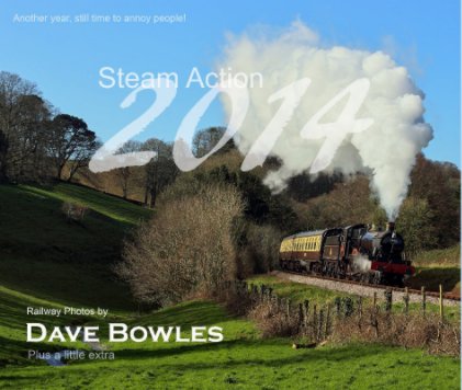Steam Action 2014 book cover
