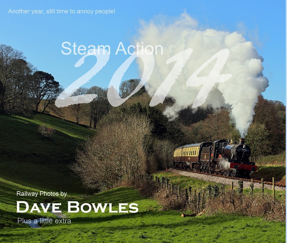 Bekijk Steam Action 2014 op Dave Bowles