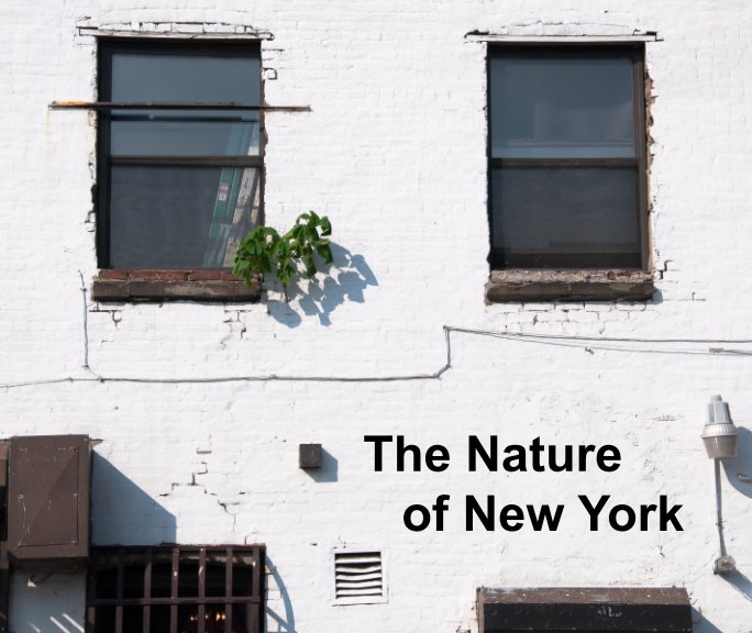 View The Nature of New York by Carolyn Carlino