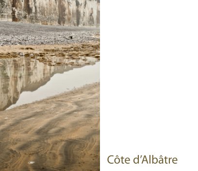 Côte d'Albâtre book cover