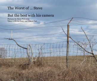 The Worst of ... Steve book cover