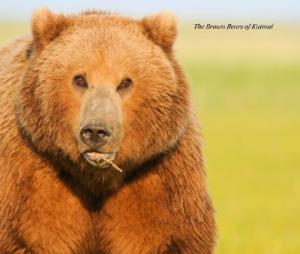 The Brown Bears of Katmai book cover