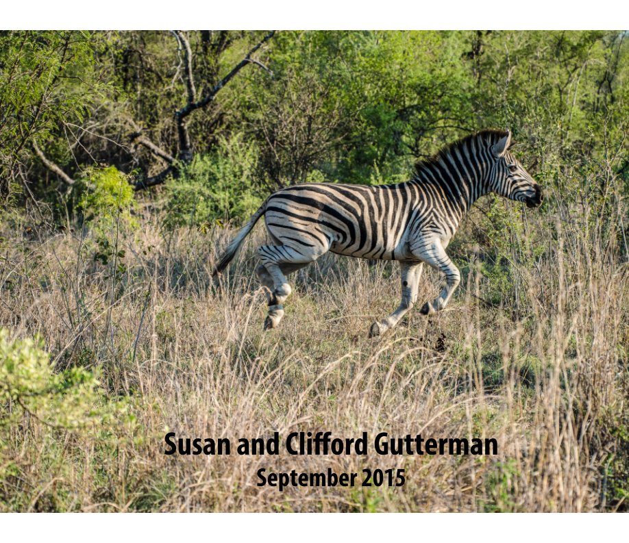 View South Africa and Zimbabwe 2015 by Susan Gutterman